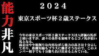 【ゼロ太郎】「東京スポーツ杯２歳ステークス2024」出走予定馬・予想オッズ・人気馬見解