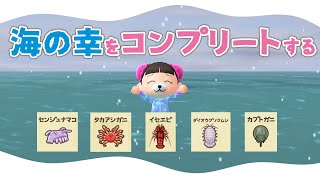 【あつ森生配信】海の幸をコンプリートした～い！！！