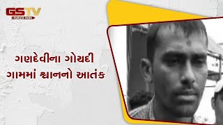 Navsari : ગણદેવીના ગોયદી ગામમાં શ્વાનનો આતંક | Gstv Gujarati News