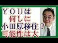 【わかりやすく】小田原の●●が完売御礼！人気の理由を考えてみる。