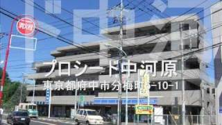 プロシード中河原 府中 分倍河原 京王 ファミリー向け 賃貸マンション