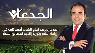 الجدعان يرصد نجاح الشاب أحمد ثابت في زراعة البنجر وتوريد إنتاجه لمصانع السكر