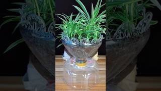 ថូផ្កាដបប្រេងសណ្ដែក Soybean Oil plant pot #decoration #processing #stuff #cut #shortvideo