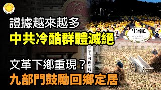 🔥證據越來越多：中共「冷酷群體滅絕」；中共九部門鼓勵回鄉定居 文革下鄉重現？「東升西降」泡湯？習近平忽然承認：中國「永遠是發展中國家」；中共封控核廢水數據，處罰日本食品店引爭議  |【阿波羅網CZ】