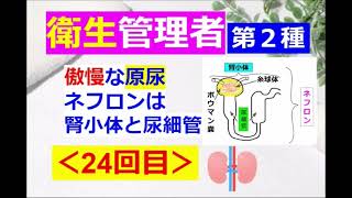 【衛生管理者】その２４[第二種]：労働生理：生きる上で欠かせない腎臓の話♪