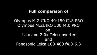 Comparison of Olympus and Panasonic M43 Zoom Lenses and Teleconverters (4K Video)