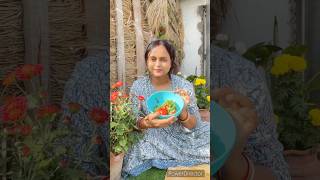 আজ করলাম টমেটো মাখা #food #viralvideo #youtubeshorts