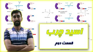 تولید اسید چرب در بیوشیمی 2 / Fatty acid synthase