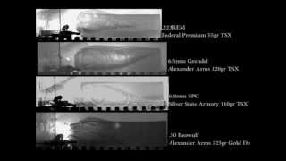 Multi-Caliber Carbine Analysis - Terminal Effects of Barnes TSX (16\