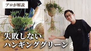 【観葉植物のプロが教える】ハンギンググリーンを作ってみよう！