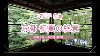 京都 初夏の絶景～瑠璃光院 春の特別拝観～