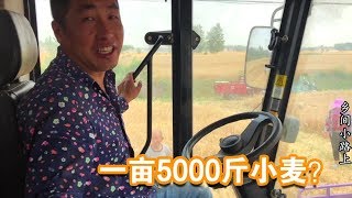 农村大哥花10万买台收割机，有空调真享福，一亩打5000斤小麦【乡间小路上】