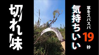 荒地の草刈りで役立つ刃物【造林鎌】　#Shorts