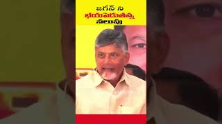 #shorts #Chandrababu #viral #breaking #cmjagan #telugunews #appolitics #TDP #telugudesamofficial