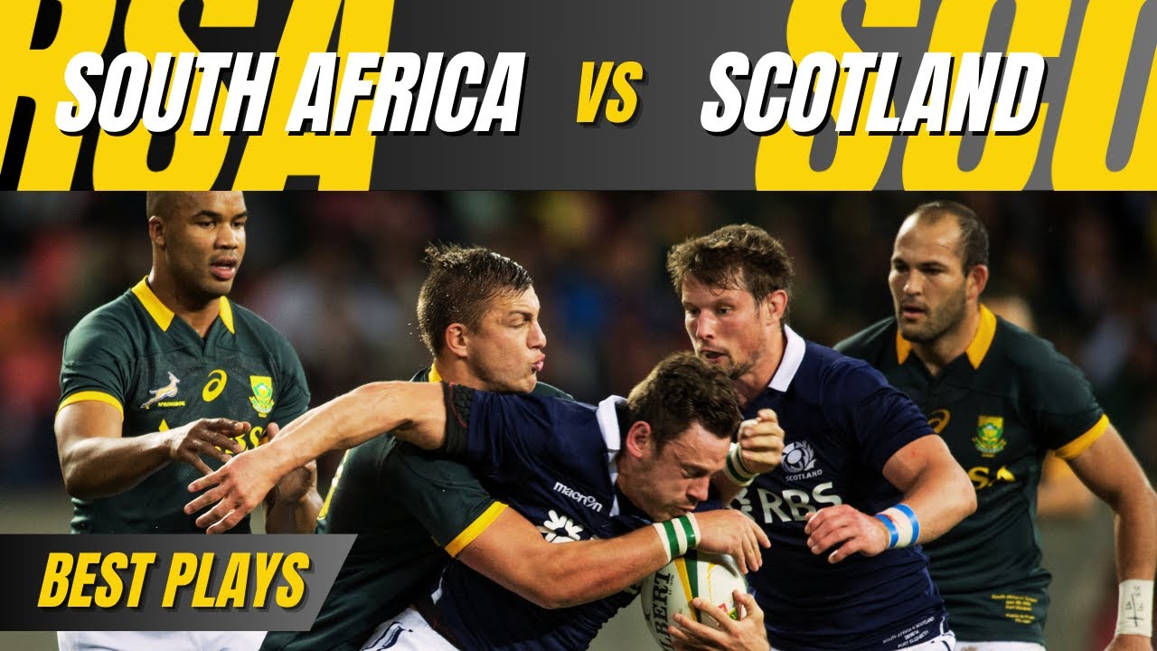 South Africa Vs Scotland Rugby | Best Rugby Moments | Rugby World Cup ...