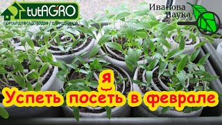 ЧТО ПОСЕЯТЬ В ФЕВРАЛЕ: не торопимся, но и не опаздываем. Оптимальные сроки для посева на рассаду.