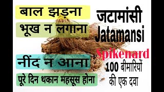 जटामांसी कई बीमारियों की रामबाड दवा ||Jatamansi benefits ||Dr Asphak Ahmed