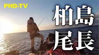 「磯釣り」柏島の尾長が面白いですよ！！