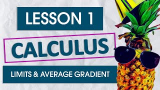 Lesson 1 - Limits and Average Gradient - The ULTIMATE Grade 12 Calculus Maths Masterclass