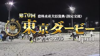 2024.6.5 第70回 東京ダービー (JpnⅠ)