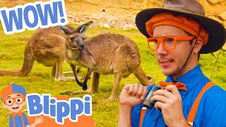 Blippi the Safari Animal Spotter! | @Blippi - Educational Videos for Kids | 🔤 Moonbug Literacy 🔤