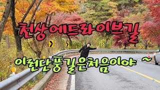 구인사 가다가 만난 보발재 단풍길  #보발재