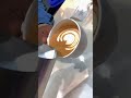 basic latte art pattern heart tulip rosetta coffee cappuccino beginners how to pour