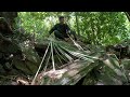 full video 30 days solo bushcraft. build a treetop shelter. survive in the wild.