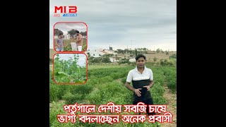 পর্তুগালে দেশীয় সবজি চাষে ভাগ্য বদলাচ্ছেন অনেক প্রবাসী বাংলাদেশী