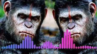 FILHAAL 2 dj song bass boosted remix songs download free music
