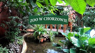 Zoo w Chorzowie