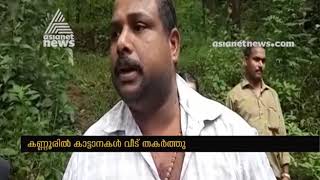 Wild elephant attacked  Kannur iritty resident's homes and farming fields