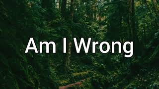 Am i wrong | lagu Nico & vinz |cover camila cabello (Lirik terjemahan)