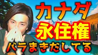 【驚愕】カナダの永住権が現在バラまかれてます【海外移住・留学】