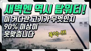 새벽엔 역시 탑워터 - 스틱베이트 배스낚시 눈맛 손맛 최고