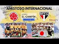 AMISTOSO INTERNACIONAL PRÉ-COPA DO MUNDO 1994 I Colômbia 1x0 São Paulo