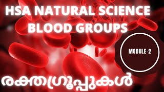 HSA NATURAL SCIENCE-  BLOOD GROUPS