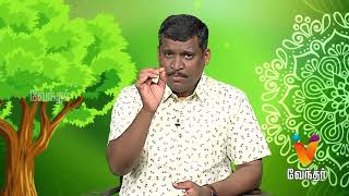 செம்பருத்தி மூலிகை டீ - Healer Baskar (05/04/2018) [Epi-1313]