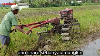 Traktor Turun Olah sawah Sawah