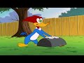 it s moving day 1 hour of woody woodpecker full episodes