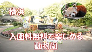 【横浜】無料で楽しめる動物園 野毛山動物園