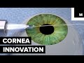 Students Created a New Tool to Help Perform a Tricky Cornea Transplant