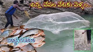 బుడ్డ పరకలు చాపలు పట్టినం /Budda parakalu  (small fishs) #villagevlog #పరకలు #చేపలు #lifeoflove