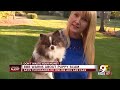 BBB warns about puppy scam