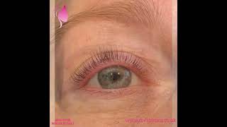 LashUS Lash Lifts