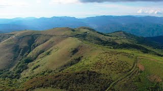 牧草地帯「大川嶺」をドローンで空撮【愛媛県久万高原町】