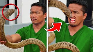 30 Animal Encounters Gone Wrong Caught on Camera