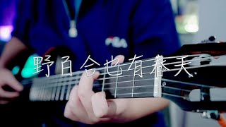 吉他弹唱罗大佑《野百合也有春天》一首经典老歌【大铭铭】