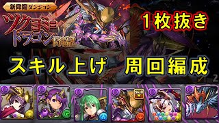 【#パズドラ】超転生ツクヨミ=ドラゴン降臨 スキル上げ1枚抜き 【#周回編成】