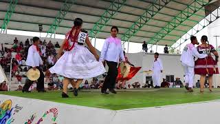 El CAIMÁN en el concurso nacional de baile de huapango huasteco en Tamazunchale SLP | HUASTECA